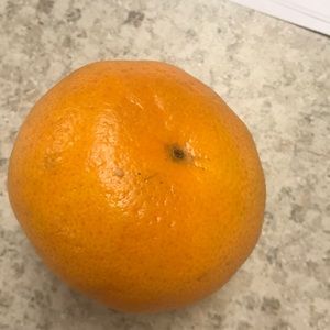 Meet your Posher, Manju